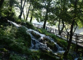 Rough Experiences in the Mountains