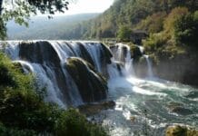 Privileges of the Communist Rulers in Bulgaria