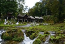 The Fall of Fuad Pasha