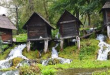 The True Location of the Cyclobion