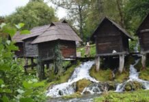 The Cyclobion and the Castle of the Theodosians